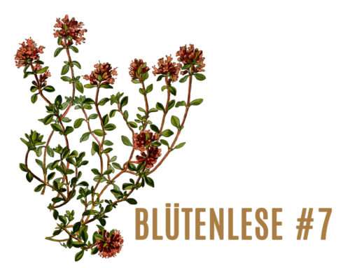 BlütenLese 7- die Autorin Rosemai M. Schmidt
